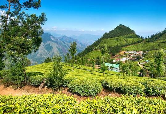 Darjeeling Gangtok tour